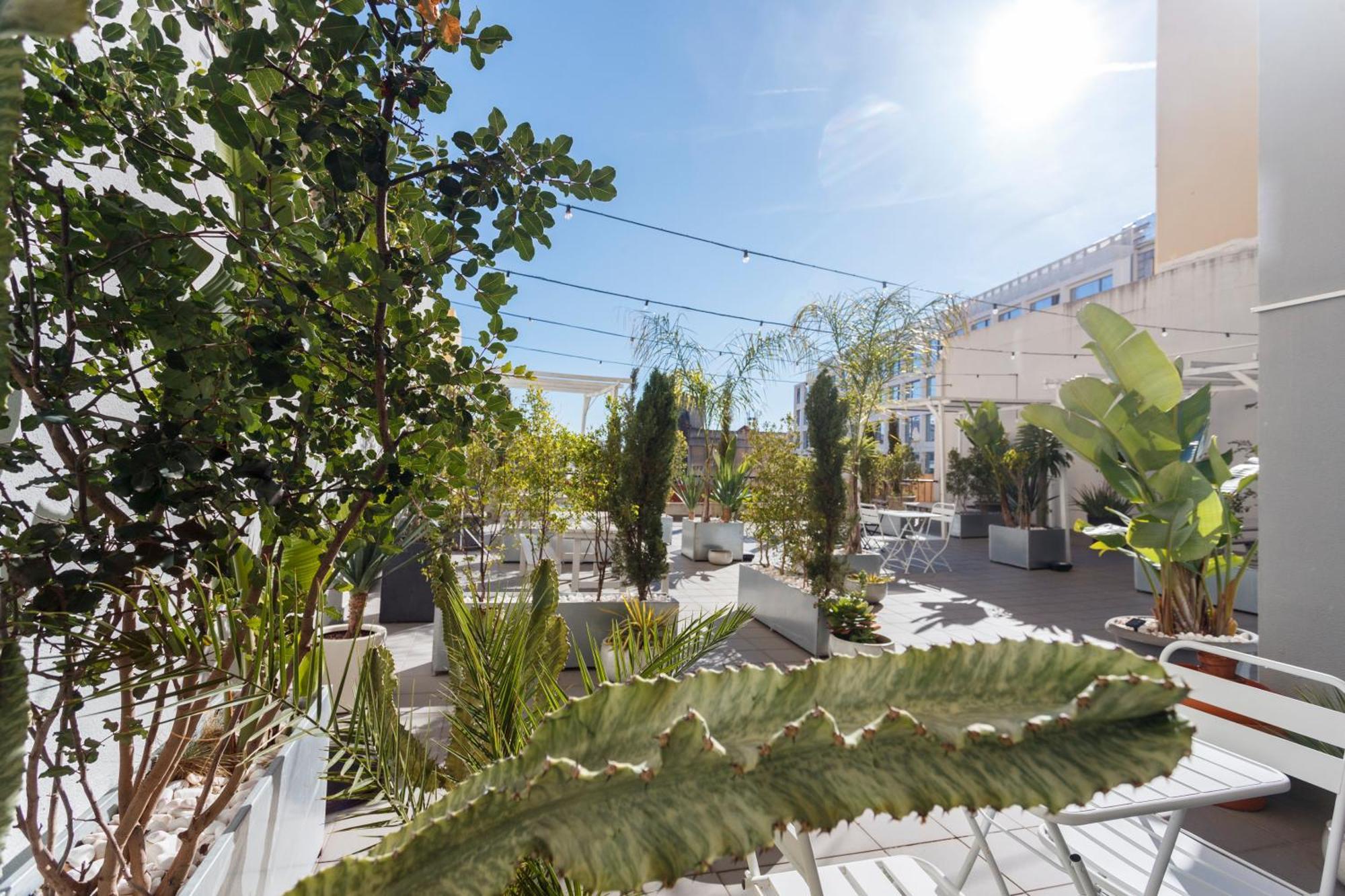 Mojito Breeze In Lisbon By Misha'S Place 3C Εξωτερικό φωτογραφία
